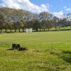 IMG-20260509-WA0008